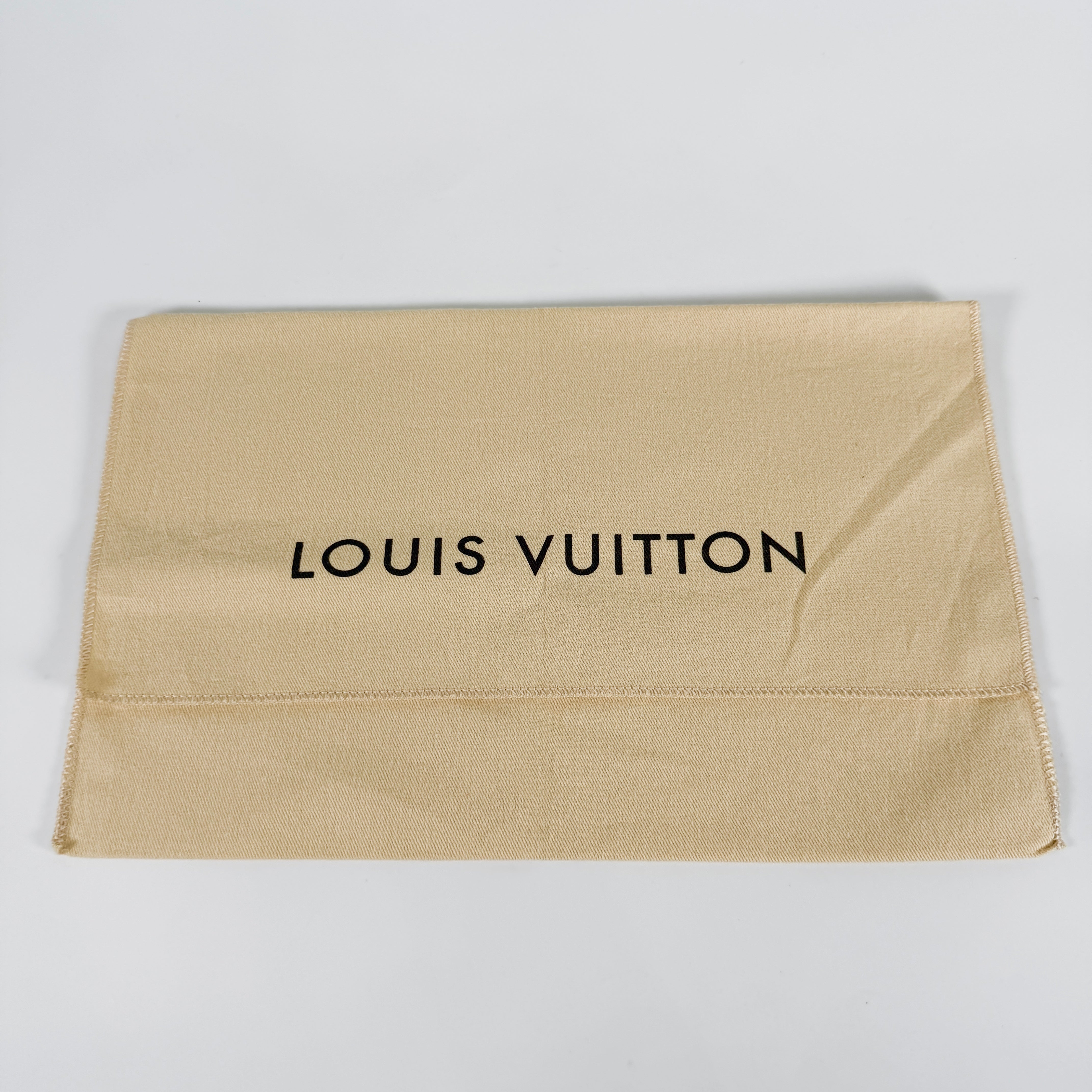2605 secondhand LV bag / others Pochette Felicie Epi