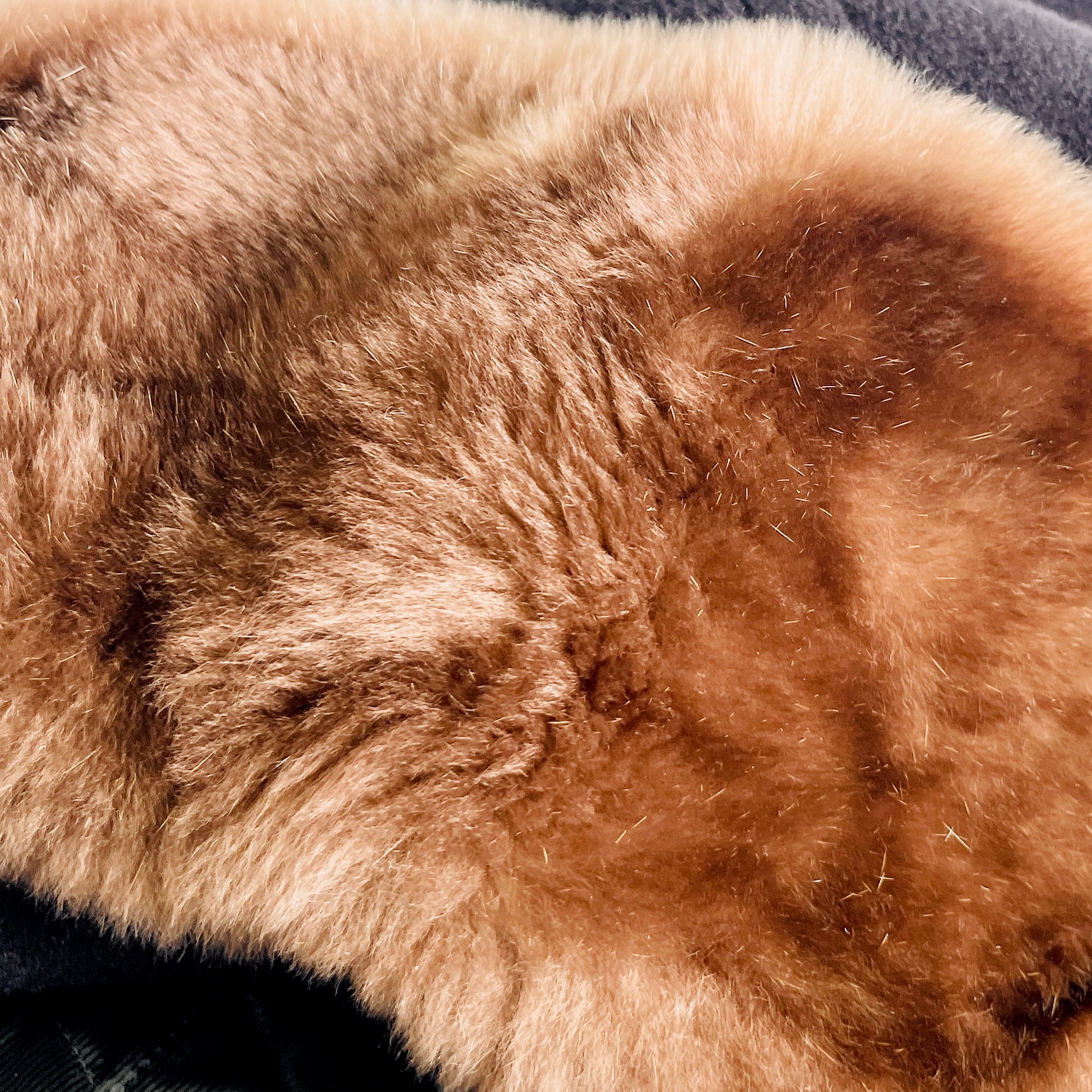 2606 secondhand MAX MARA coat fur long