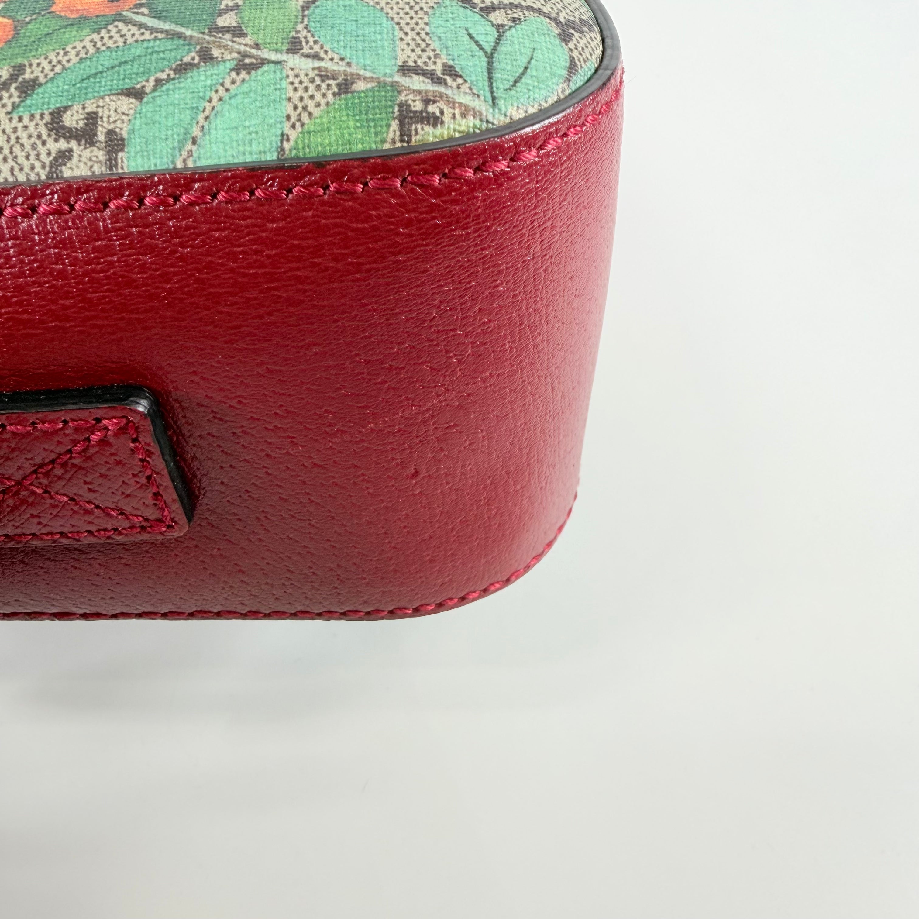 2608 secondhand GUCCI GG Supreme Tian PVC× leather Shoulder bag beige × Red 450947