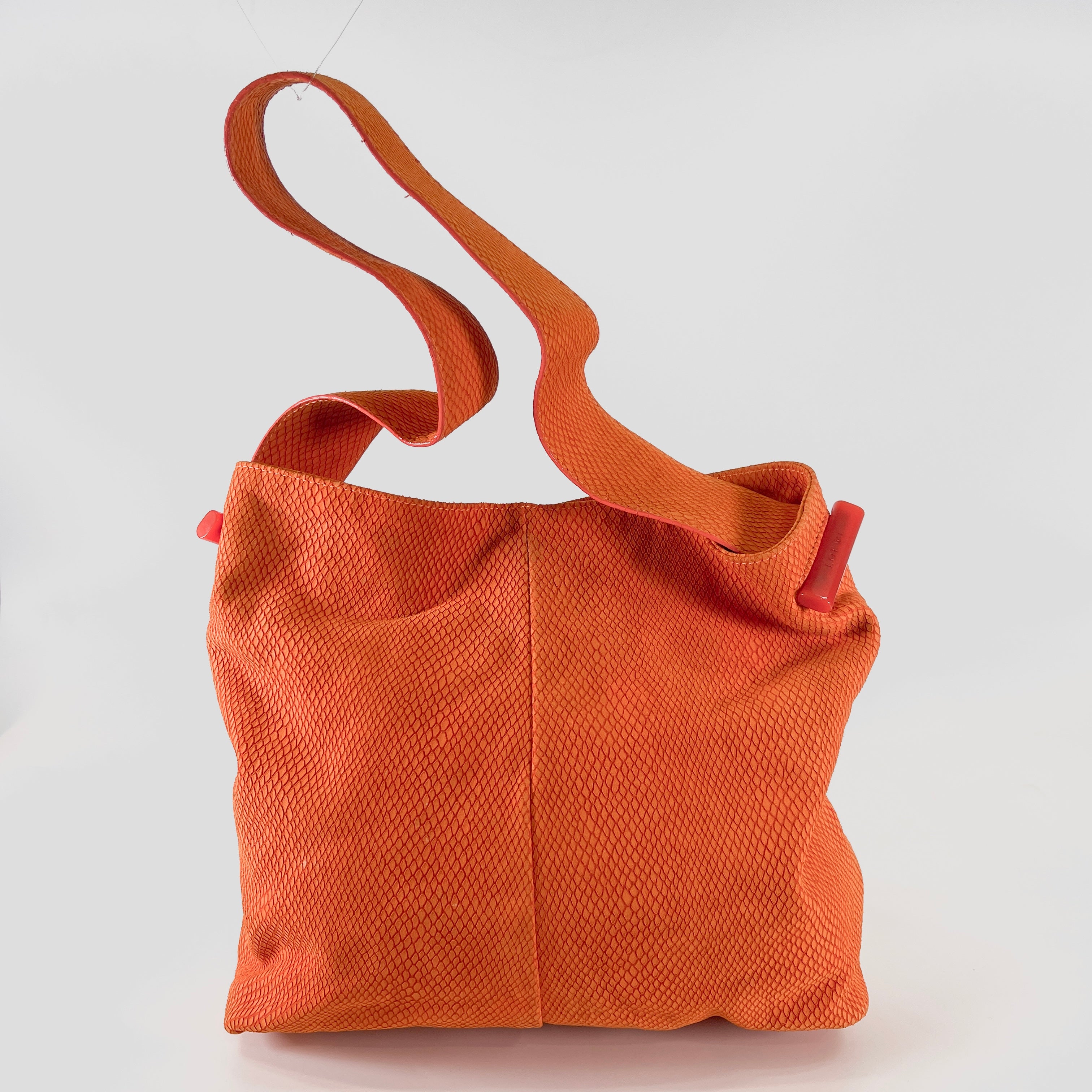 2603 secondhand LOEWE bag / others cicada Shoulder bag
