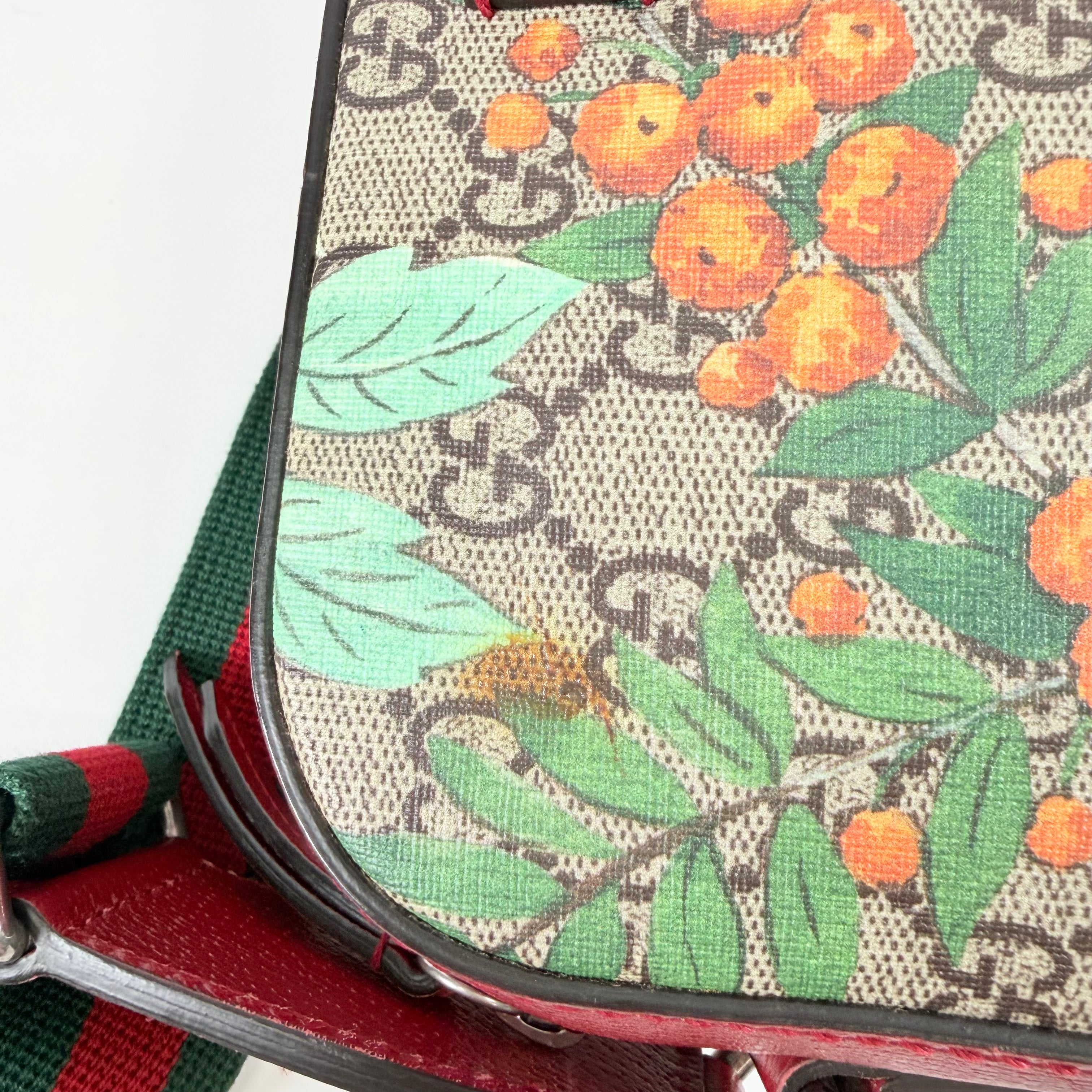 2608 secondhand GUCCI GG Supreme Tian PVC× leather Shoulder bag beige × Red 450947
