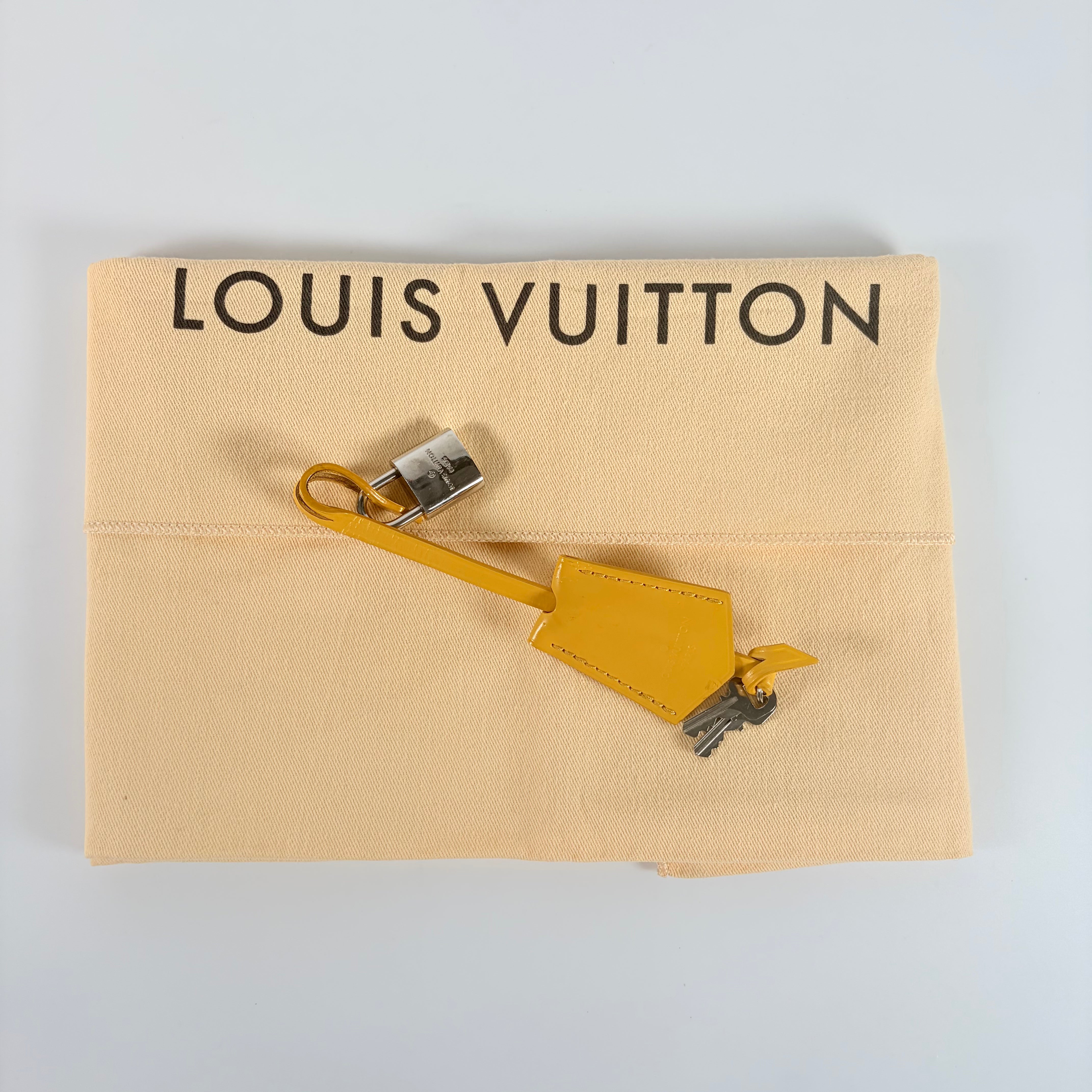 2605 secondhand LV bag / others Alma Epi