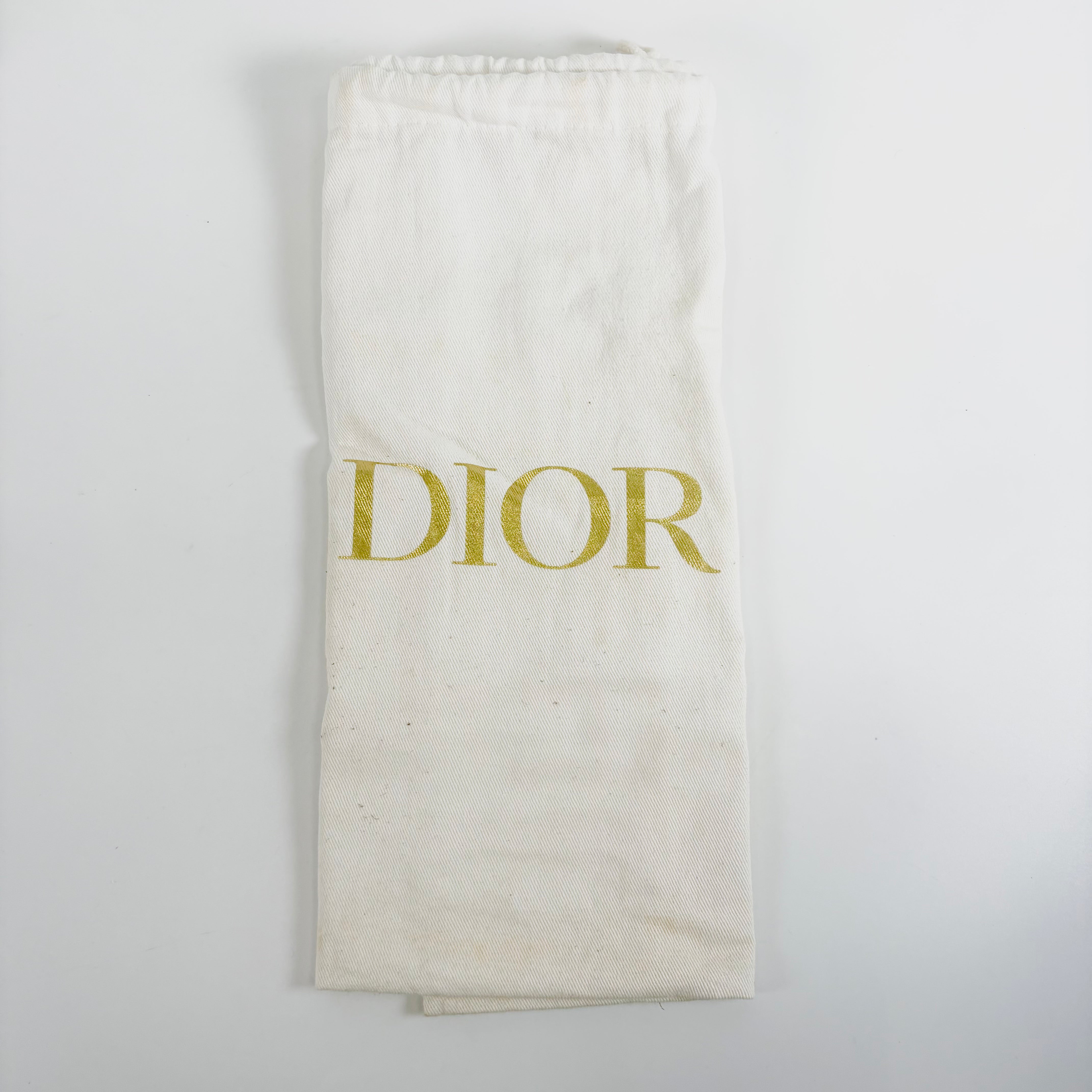 Christian Dior Diorama Leather Chain Shoulder Bag
