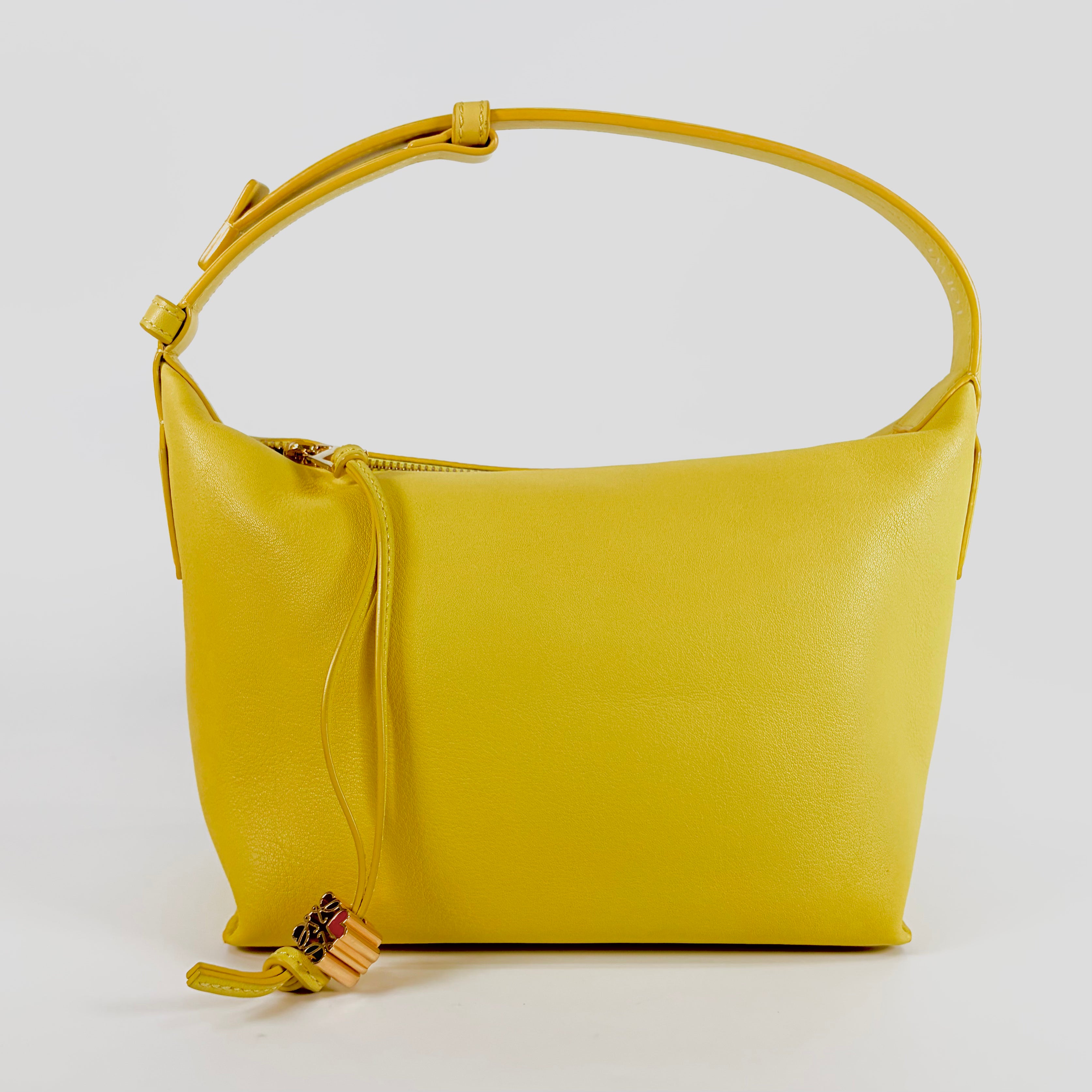 2607 secondhand LOEWE hand bag